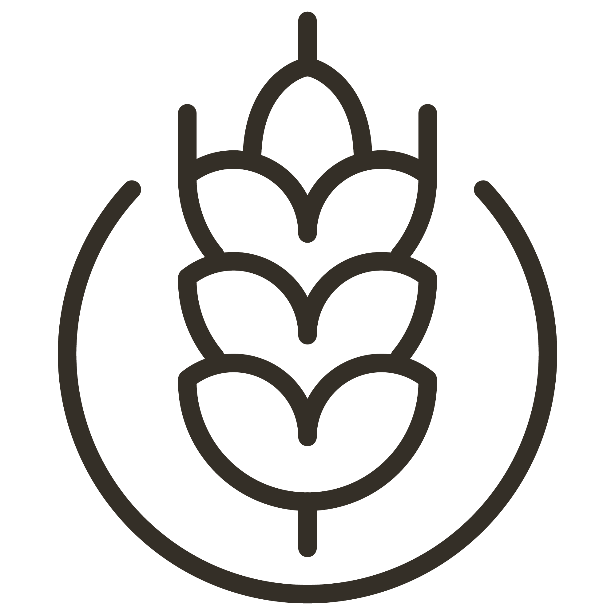 Gluten Gluten